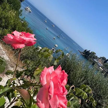 Aronis Spyros Panoramic Seaview